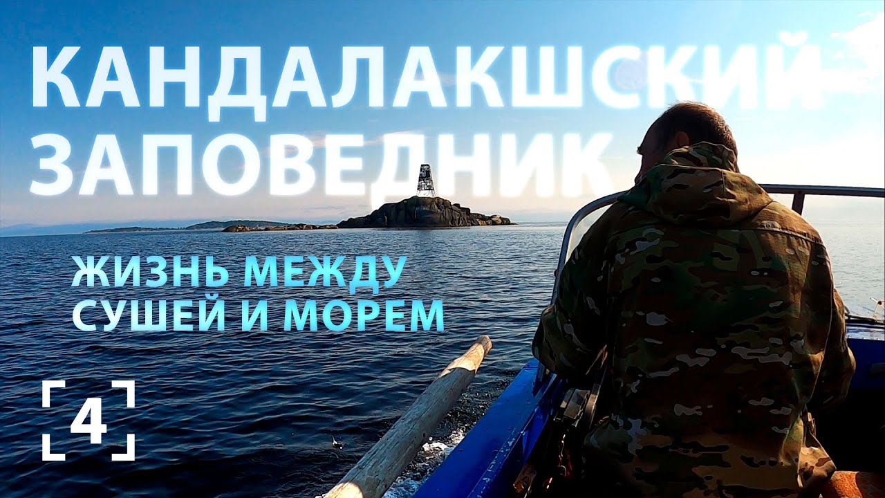Литораль Белого моря. Островные и материковые территории Кандалакшского заповедника