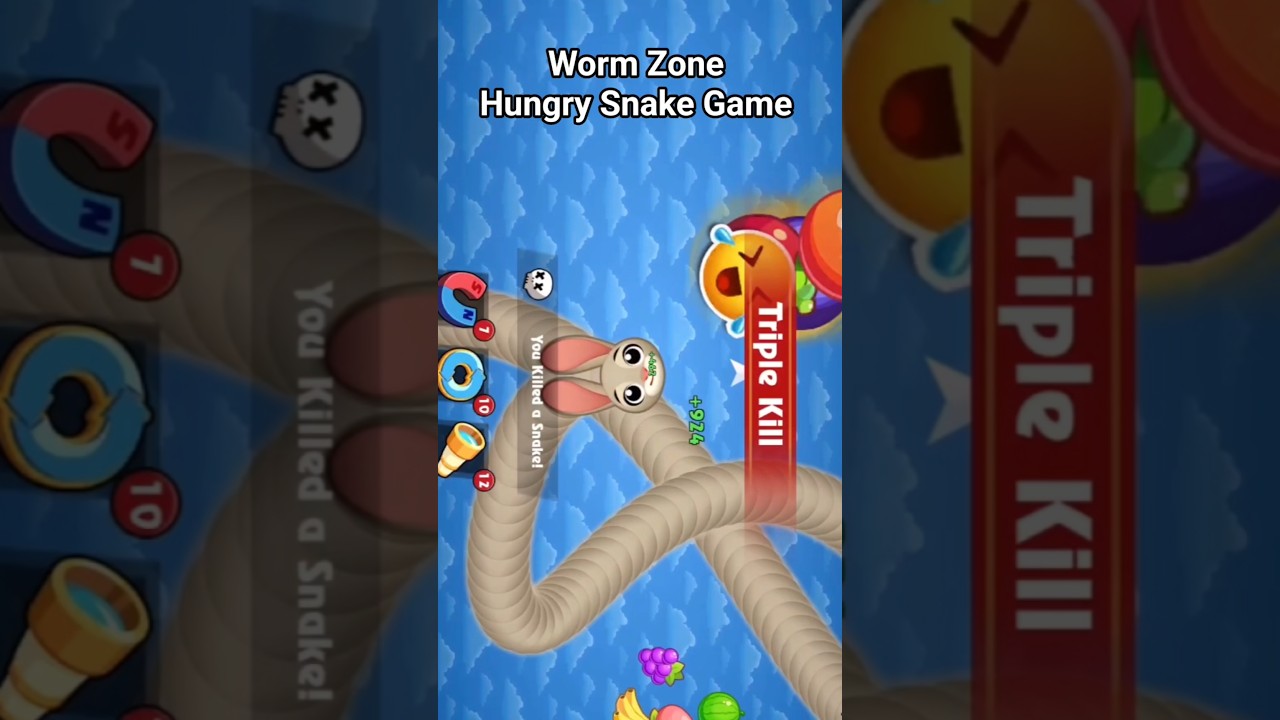 Worm Zone Hungry Snake Game 