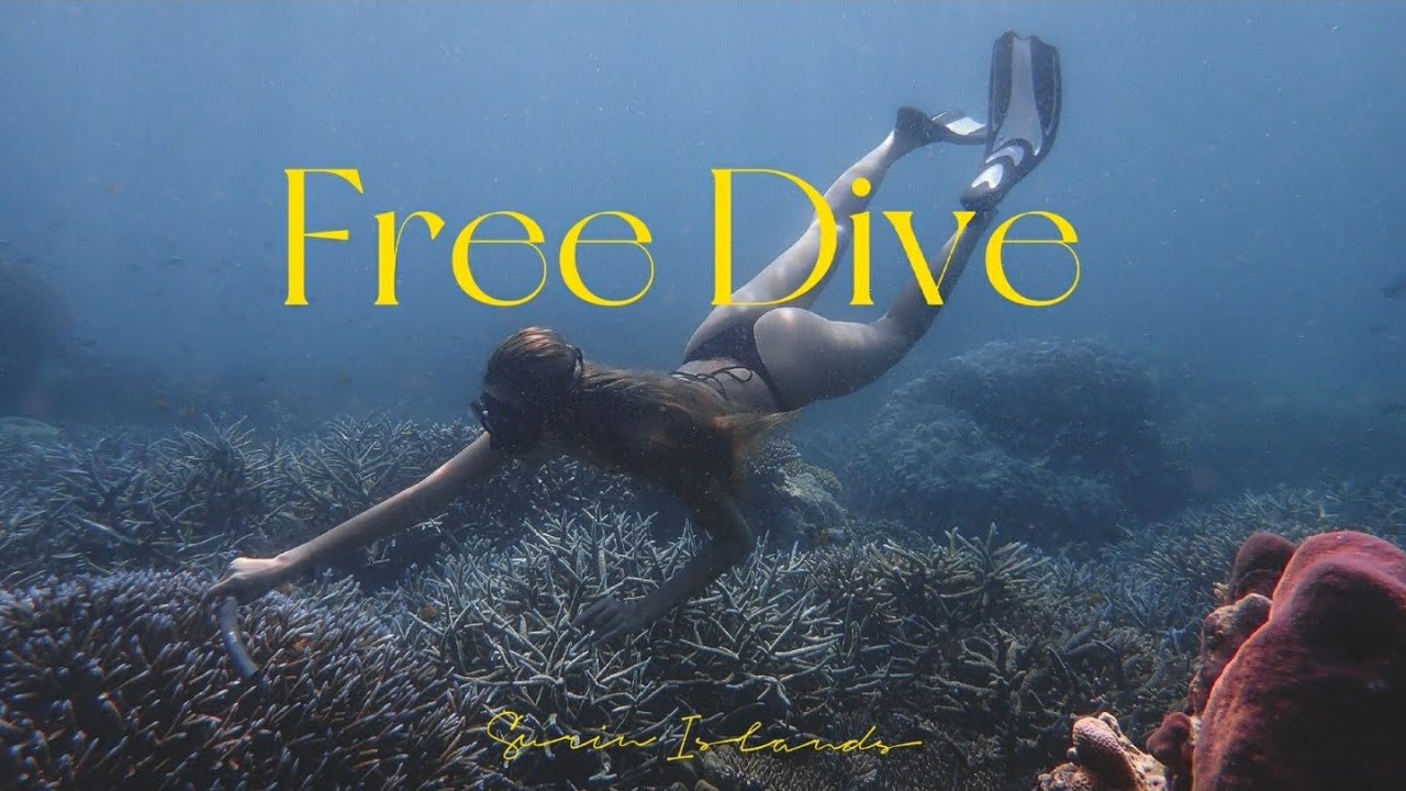 My Story  EP.9 | [3/3] เที่ยวหมู่เกาะสุรินทร์ พังงา Freediving