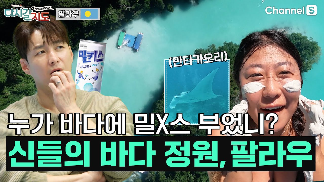 산호로 둘러싸인 신들의 바다 정원, 팔라우의 매력 속으로 팔로우!!!ㅣ팔라우🇵🇼ㅣ92회ㅣ#다시갈지도