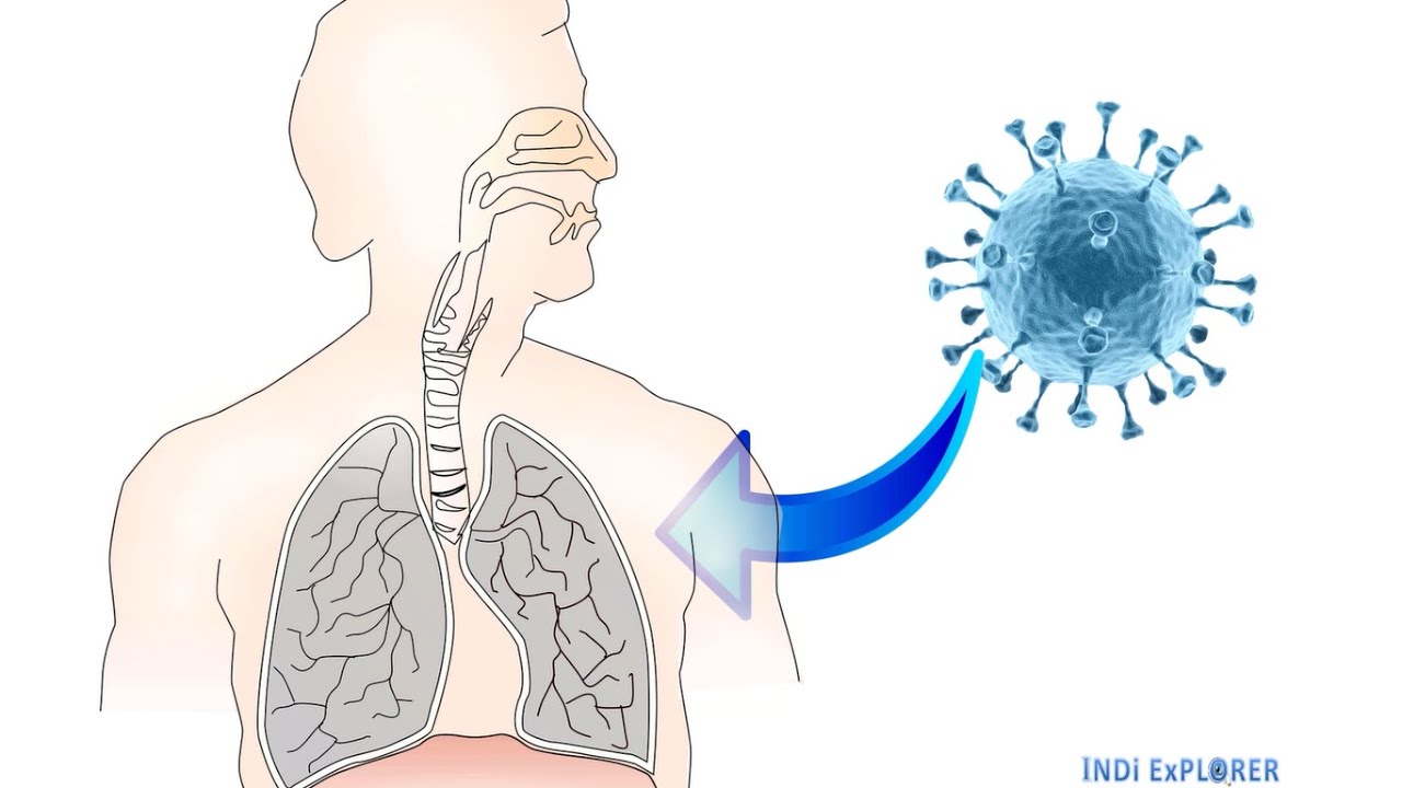 COVID - 19 : The Novel Corona Virus...Precautions and Symptoms...Be careful and stay safe #IndiExp