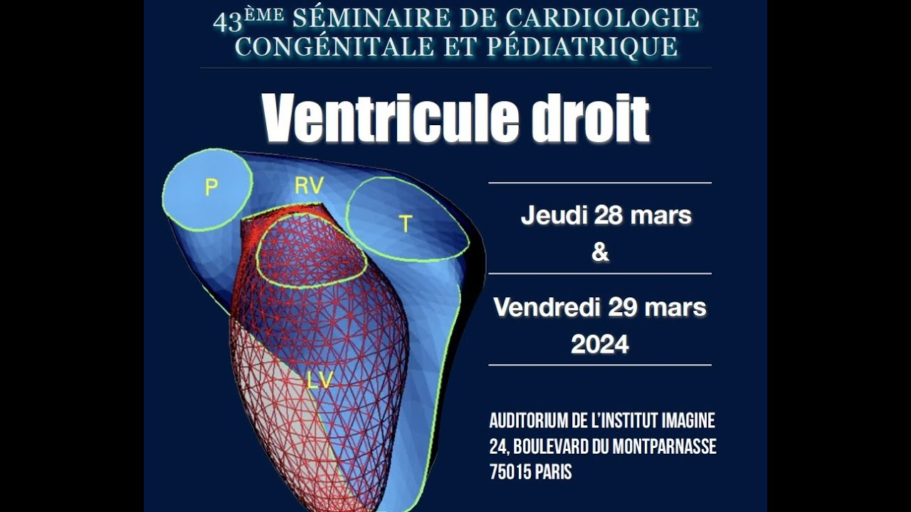 1 Anatomie macroscopique normale du ventricule droit Lucile Houyel