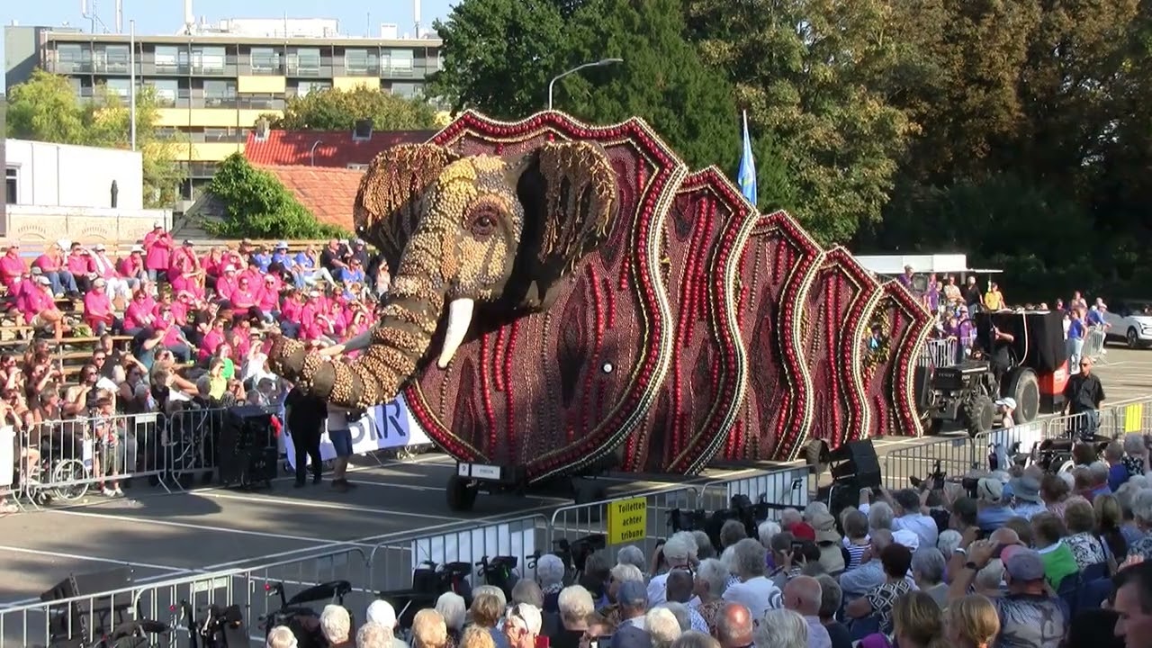62e Fruitcorso Tiel 21.09.2024 Deel 1/4 (bekendmaking ranglijst)