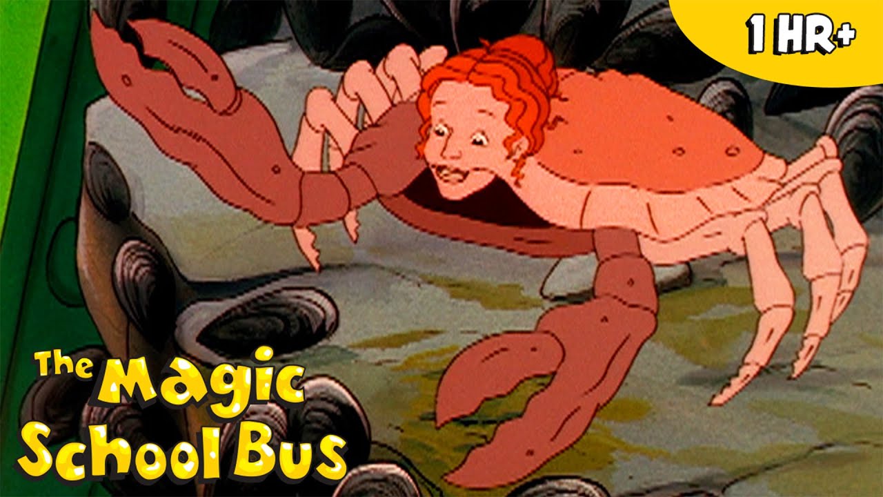 Underwater Wildlife | Full Episodes | Marine Biology | Science for kids | The Magic School Bus