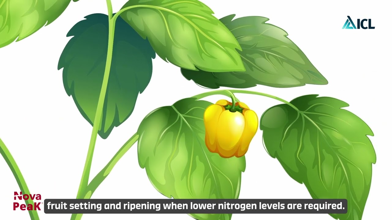 Nova Peak: Maximize Your Crop's Potential