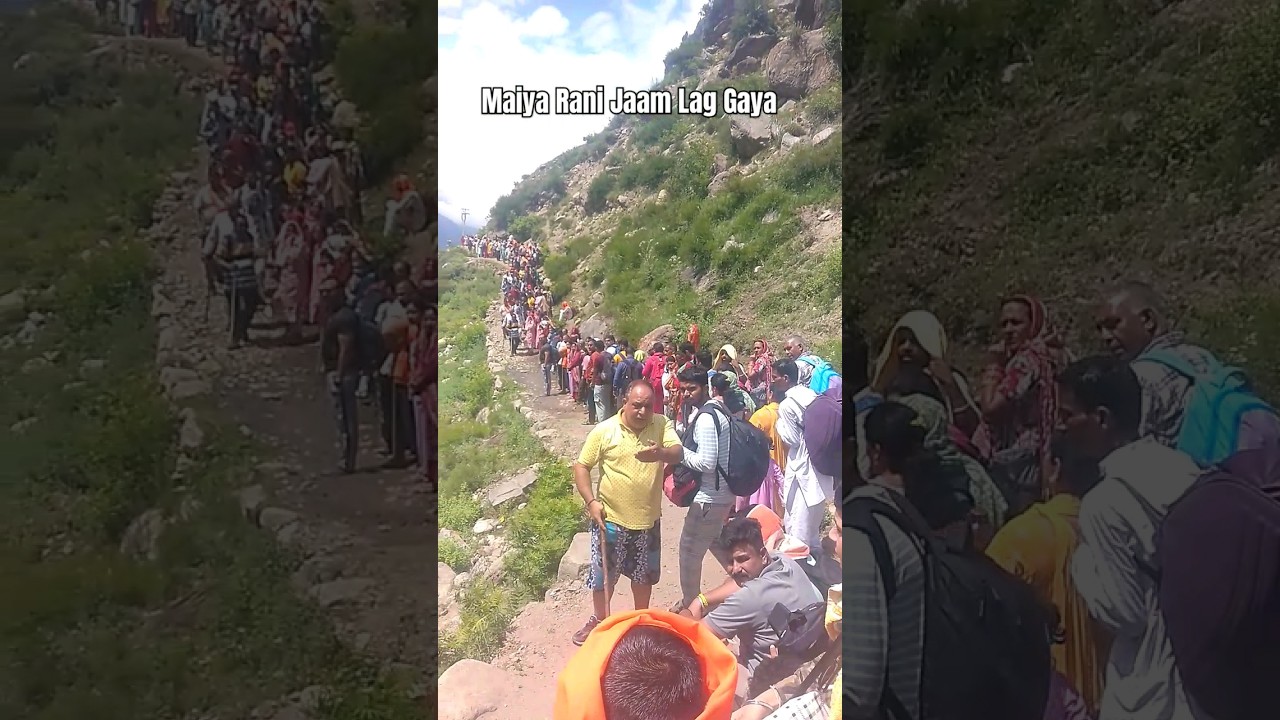 Chandi Maiya Jaam Lag Gaya || Machail Mata Yatra 2025 