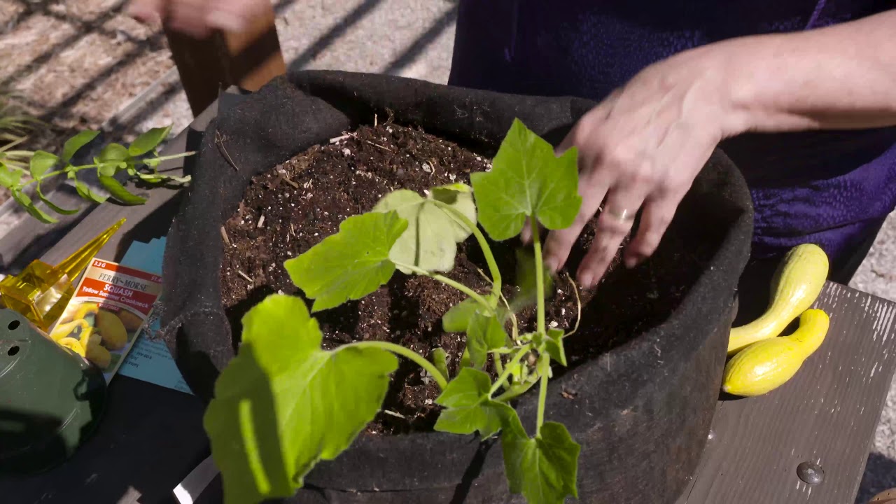 Plant-it-Earth with SmartPots