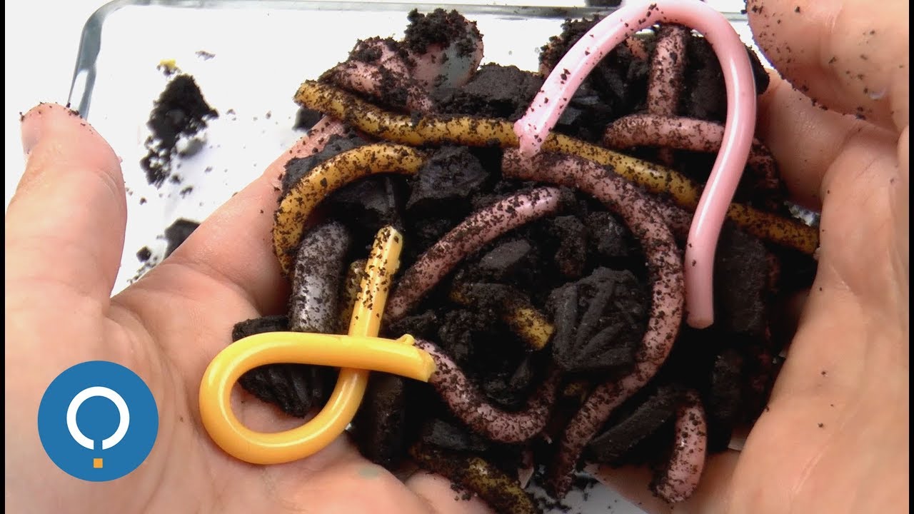 Minhocas de gelatina - Receitas para Halloween