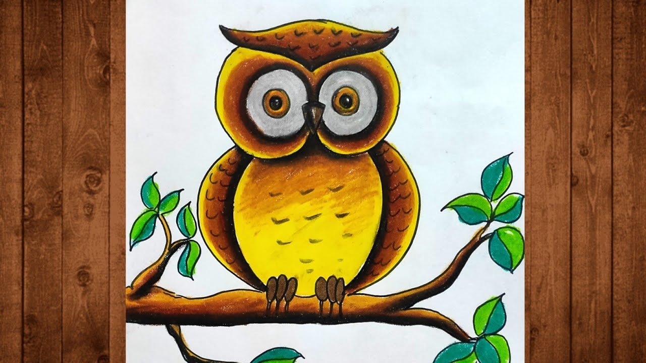 Owl Drawing Colour || Owl Colour || Owl Colour Drawing