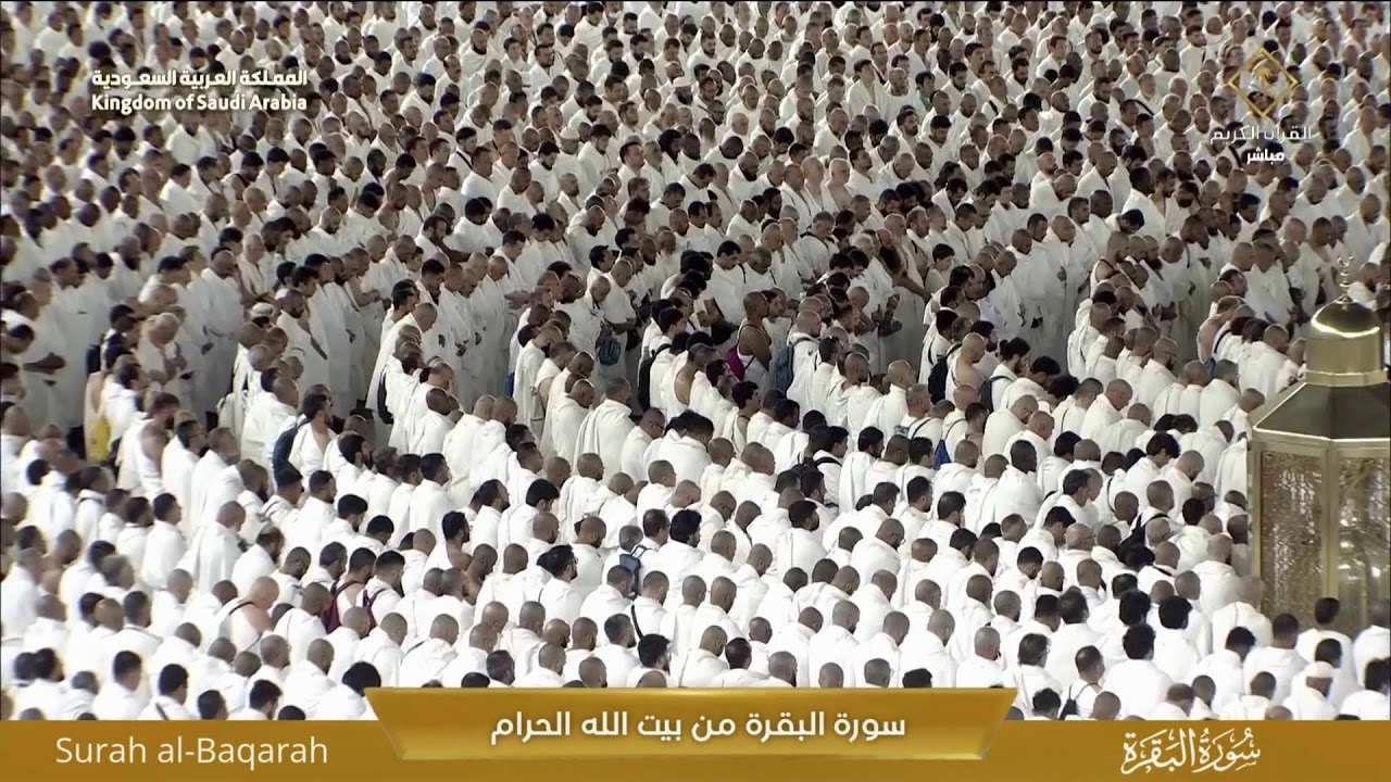 🕋 Makkah Live | مكة مباشر | الحرم المكي مباشر | قناة القران الكريم السعودية مباشر | مكه المكرمه مبا