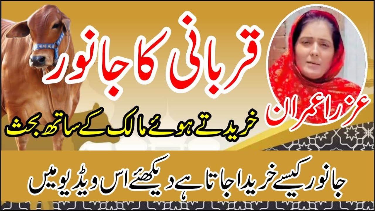 Kurbani k janwar ki khirid o frokhat ki video || Azra Imran