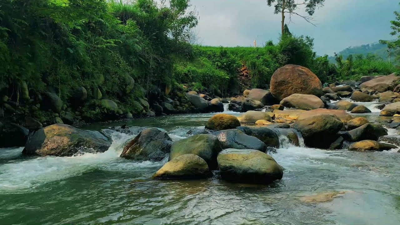 Relaxing River Flow in a Tranquil Forest – White Noise for Studying, Meditating, and Deep Sleep