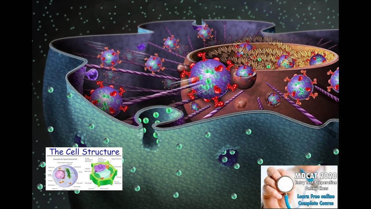 mdcat 2020 online classes Unit wise (Cell Biology )