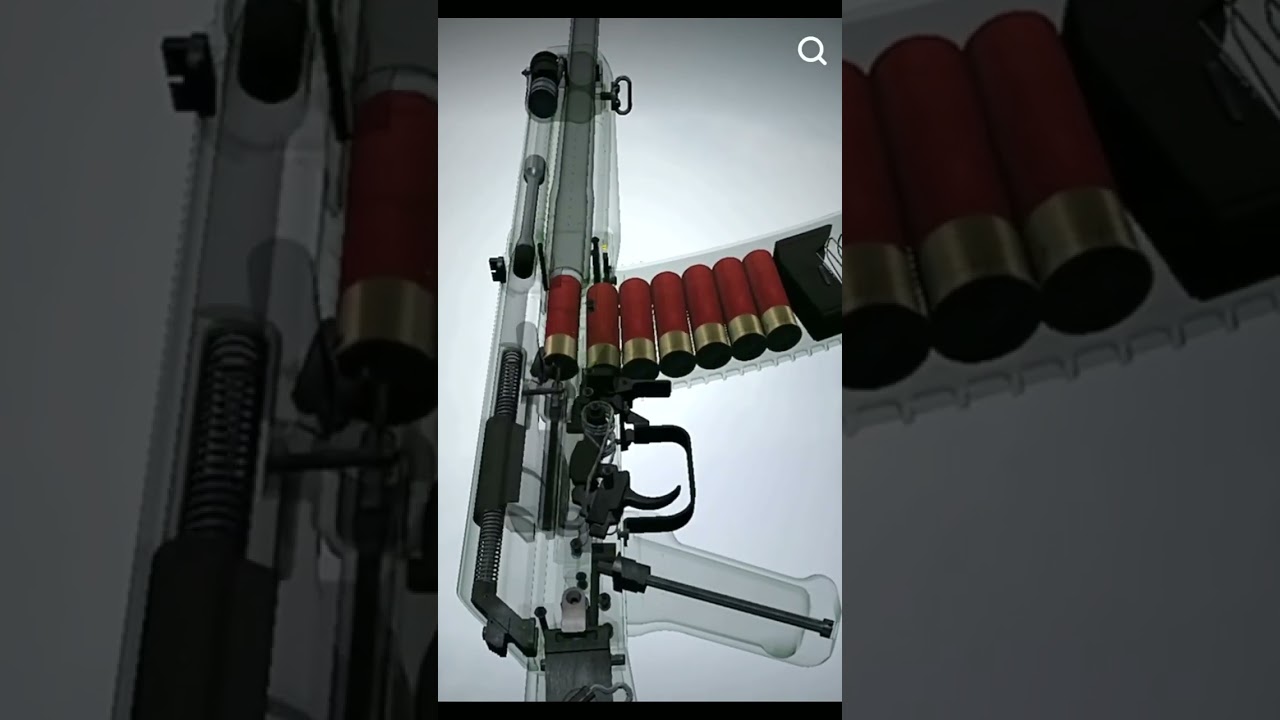 #youtubeshorts
