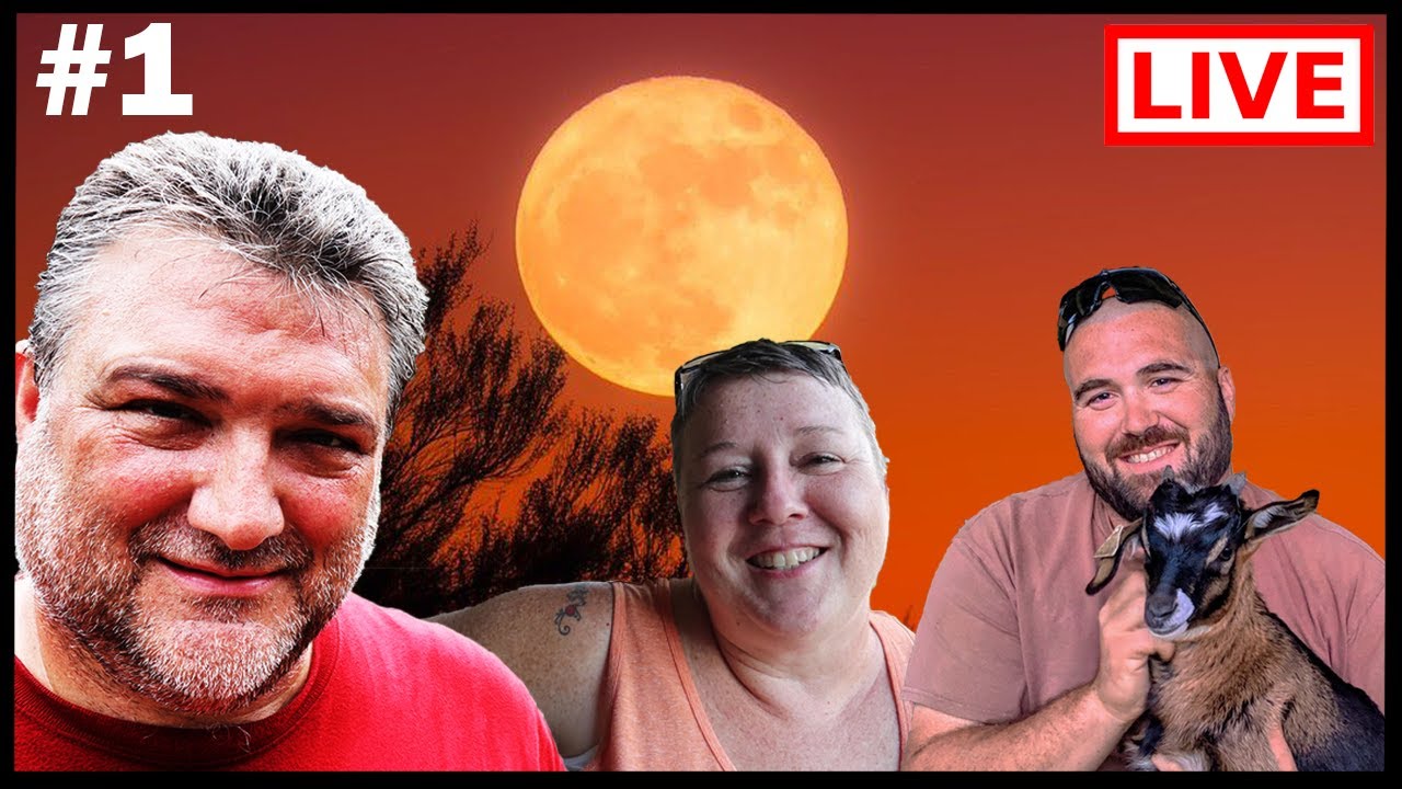 LIVESTREAM | FIRST LIVESTREAM and #harvestmoongiveaway