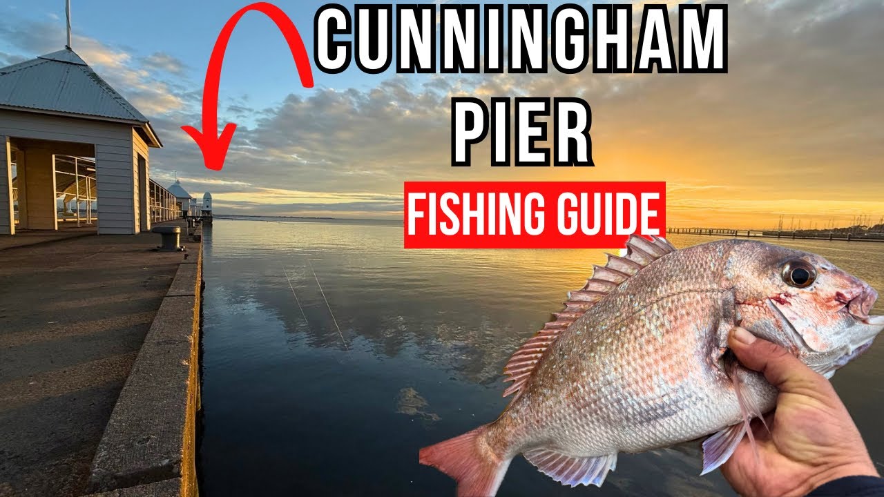 Catch More Fish from Cunningham Pier | Best Tactics 