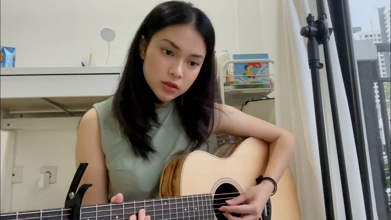 wake me up when september end - green day (guitar cover)