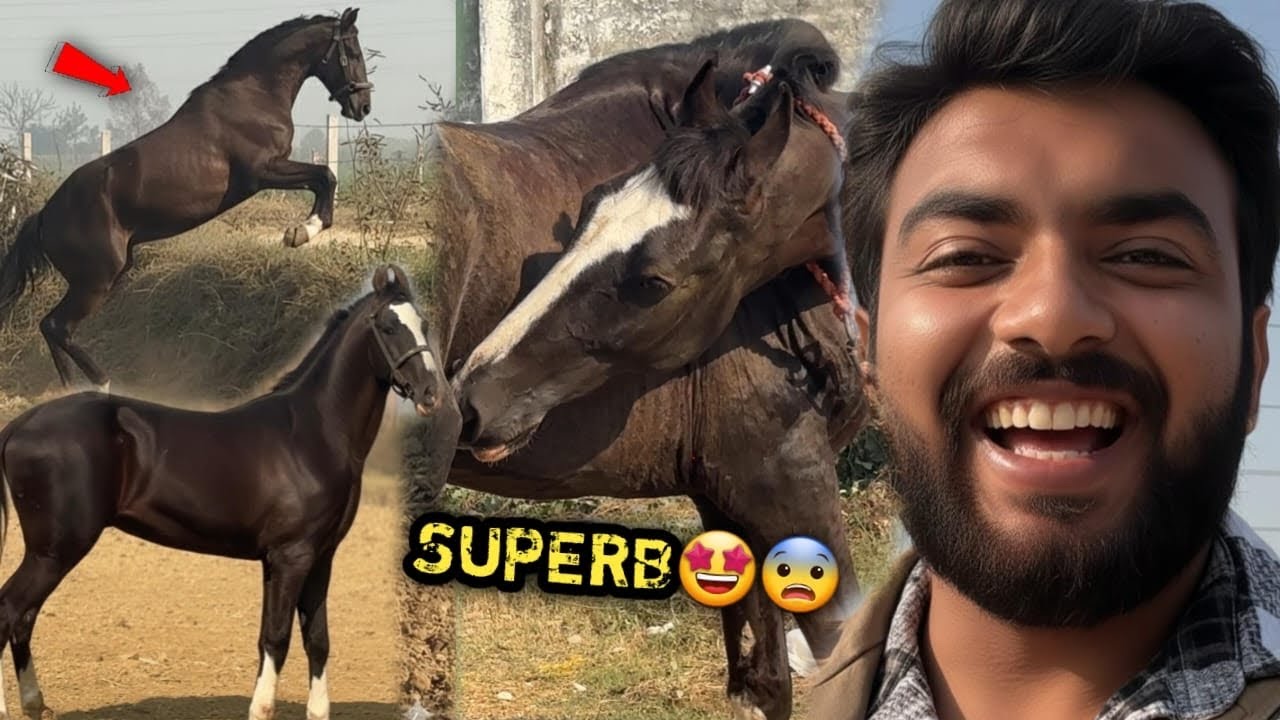 JUMP TRAINING🔥Socha Nahi Tha New Farm Pr Jaane Se Pehele Raftar Full Speed Pr Itni Tez Daudega 😱