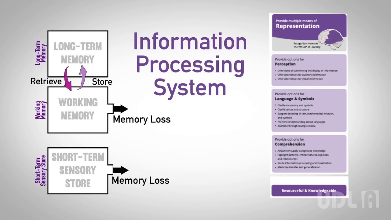 UDL A How to Read the UDL Guidelines