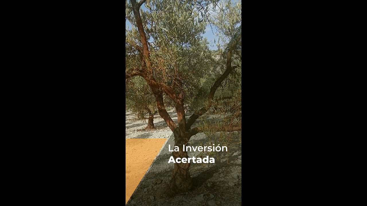 LA INVERSI&Oacute;N ACERTADA