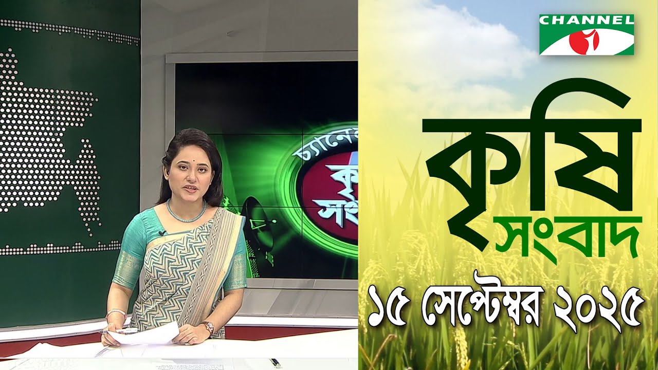 চ্যানেল আই কৃষি সংবাদ | Channel i Krishi News | 15 September, 2025|| Channel i News