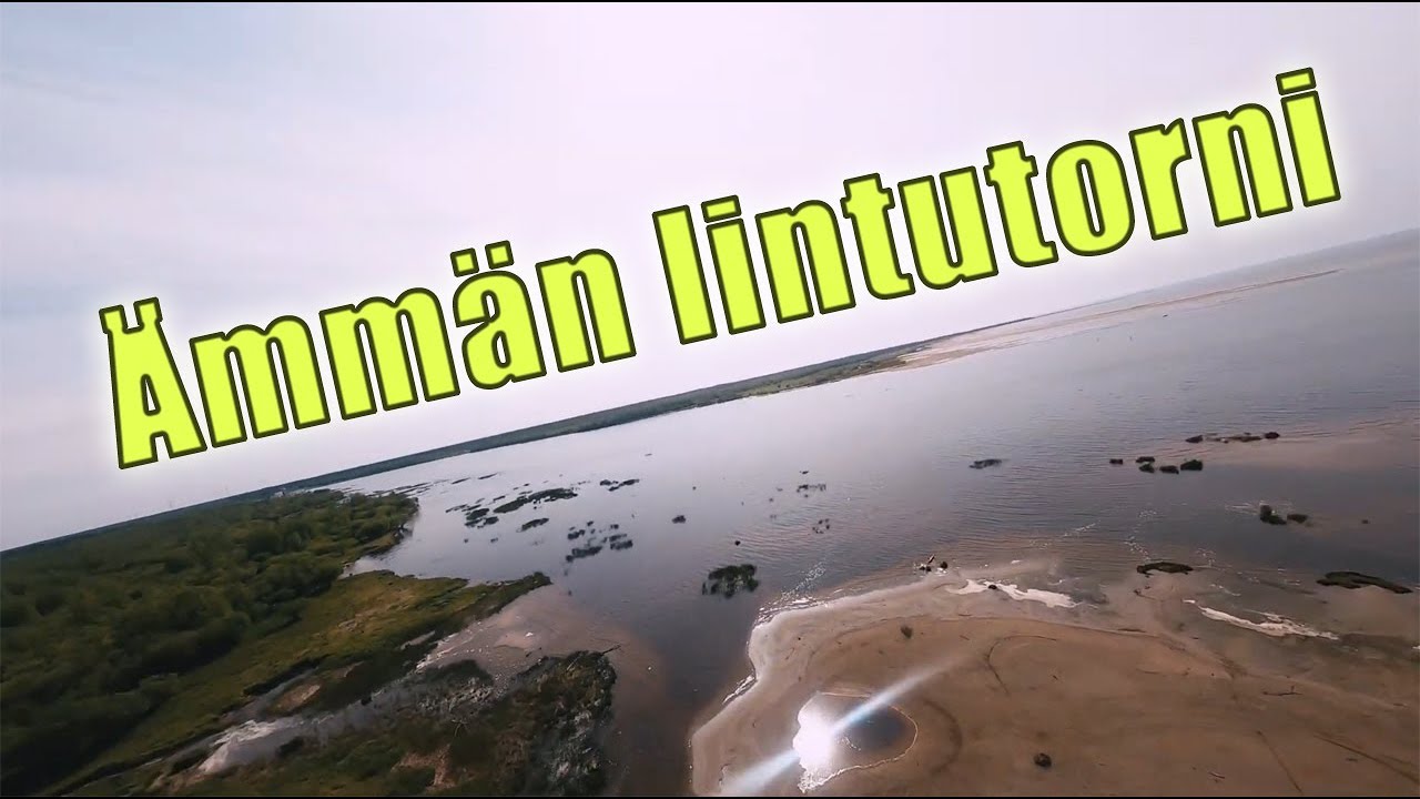 &Auml;mm&auml;n lintutorni, Kalajoki