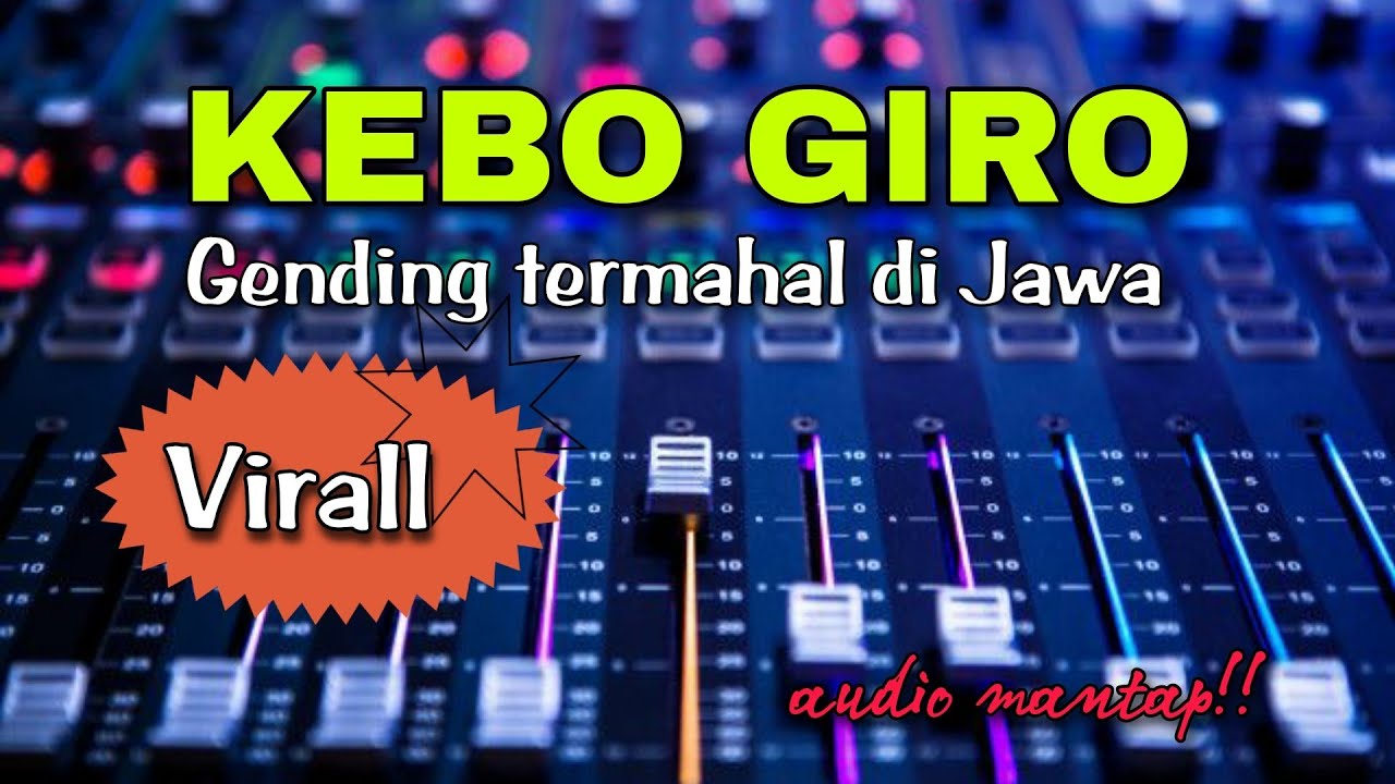 VIRAL❗❗KEBO GIRO GENDING TERMAHAL DI JAWA PALING BANYAK DI CARI