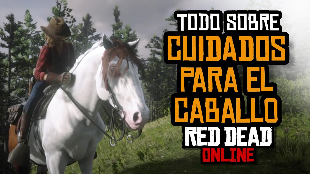 Guía Completa sobre los Cuidados para el Caballo - Red Dead Online