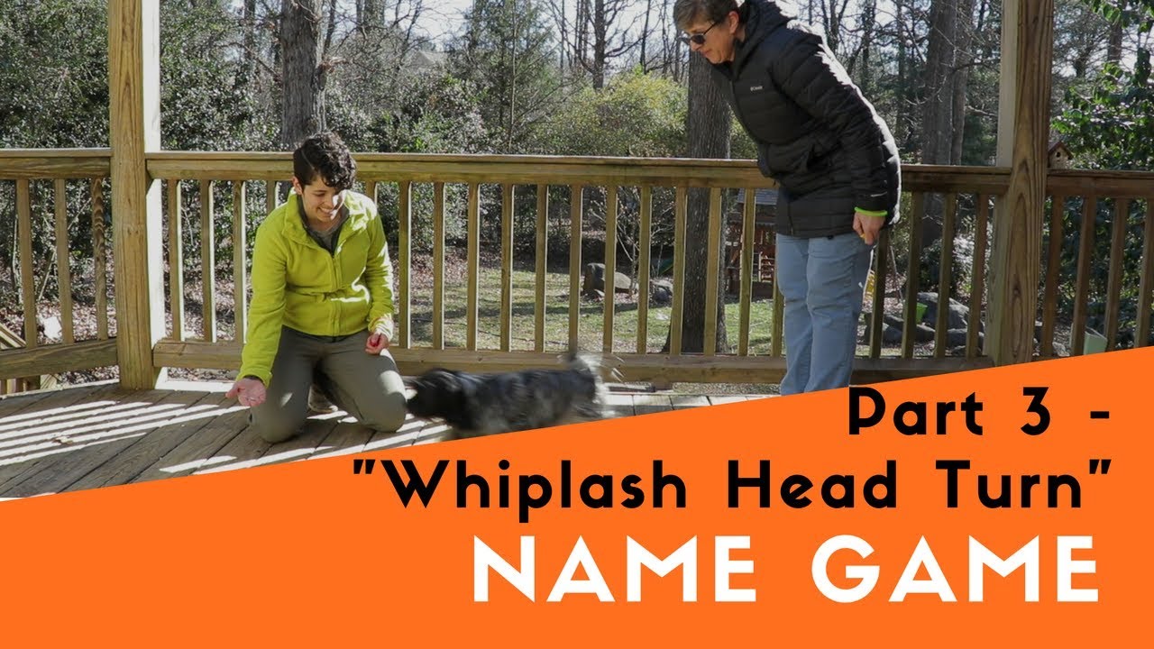 How to Teach Your Dog the Name Game - 