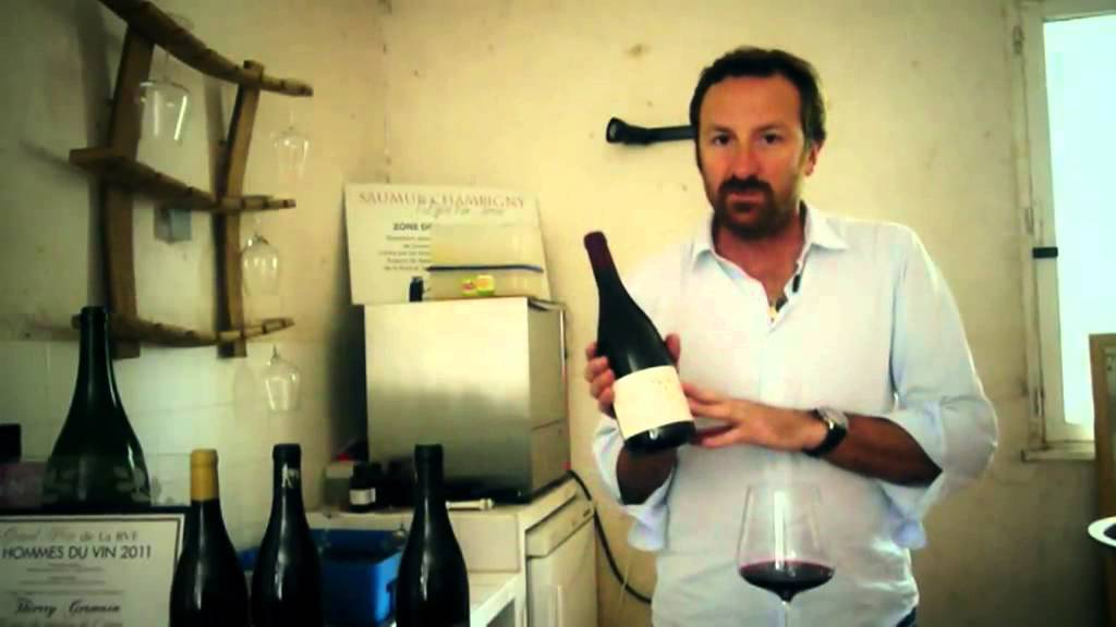 Saumur Champigny Domaine des Roches Neuves - Vin de Loire