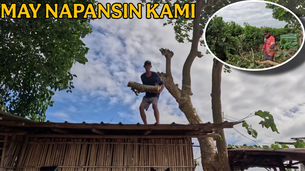 MAY NAPANSIN KAMI SA CALAMANSI
