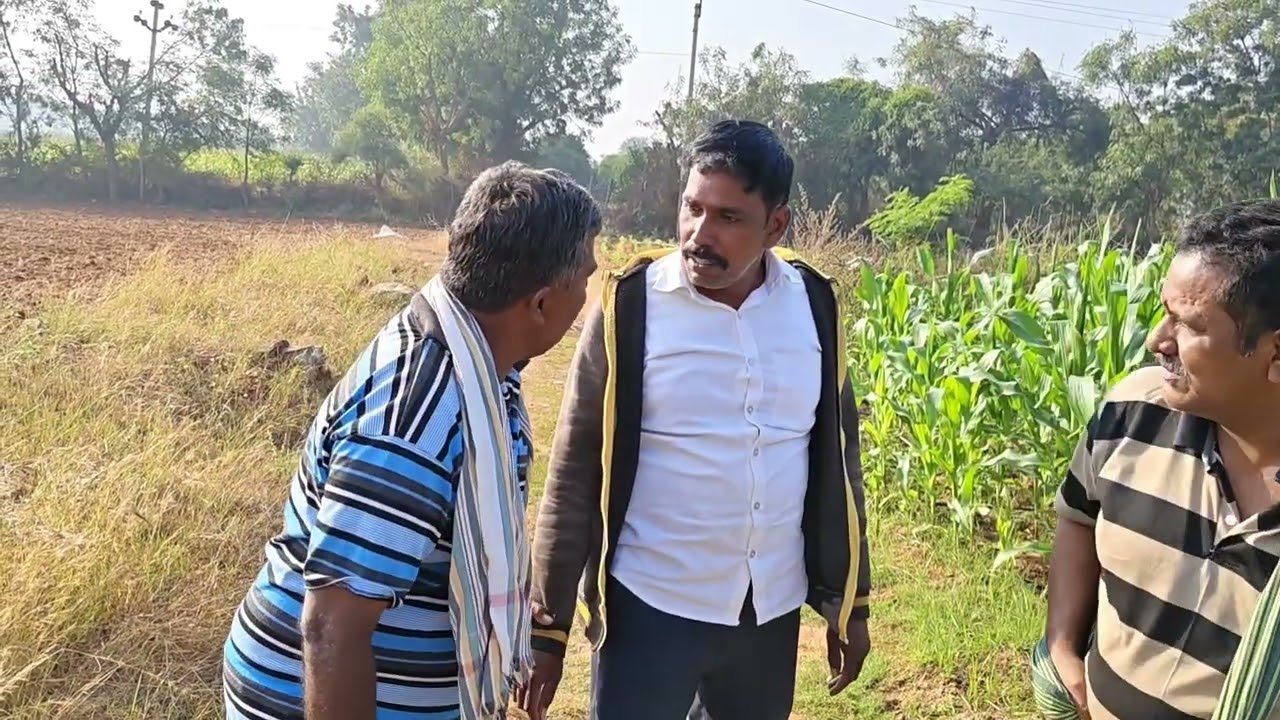 అనవసర విషయాలలోకి తల దూర్చకూడదు #funny #funnycomedy #comedy #trending #viral
