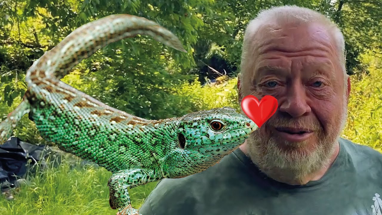 NORBERT IN DER WILDNISSCHULE - NATUR PUR - FREUNDE AUS NORBERTS WELT | ZOO ZAJAC