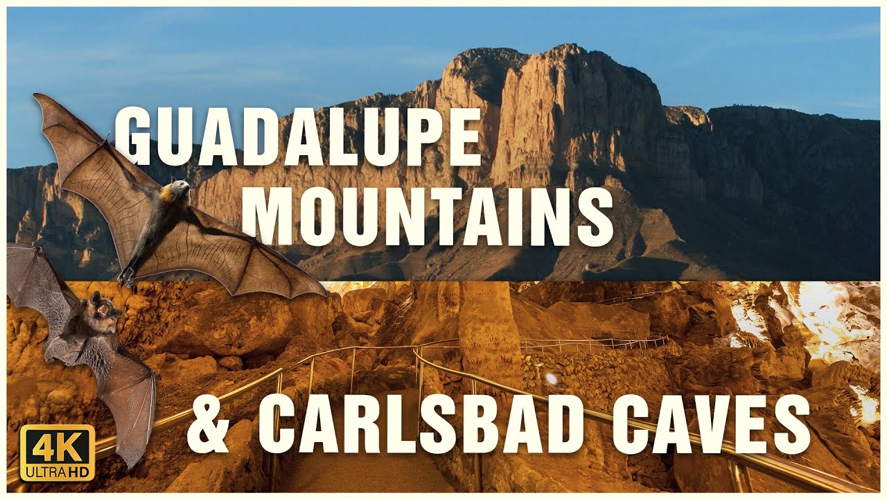 From New Mexico to Texas: CAVES, DESERT and much more🦇🦇🦇