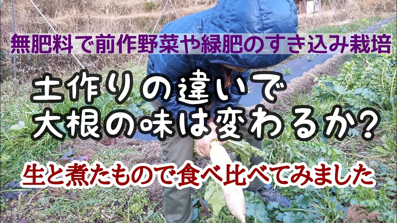 土の育て方によって大根の味はどう違うか？