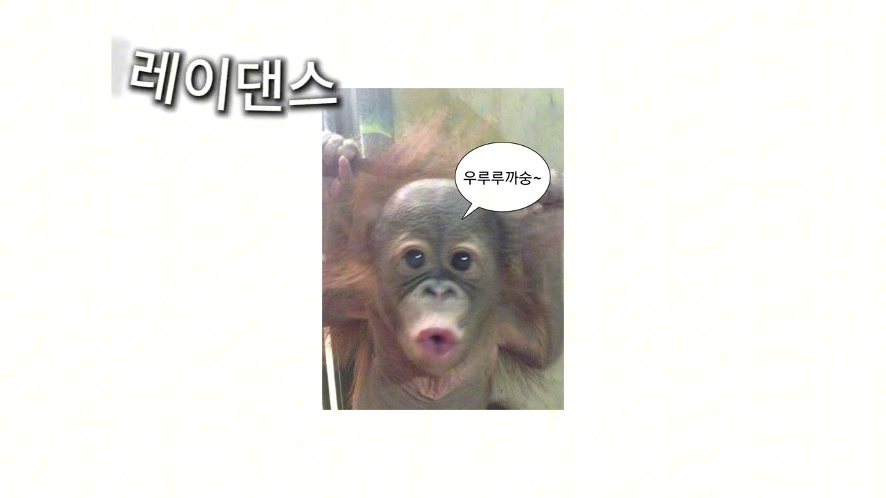 2026 틱톡 랜덤플레이댄스💐지금 제일 핫한 춤 모음!#틱톡랜덤플레이음원#2026틱톡#틱톡랜플#틱톡#랜플🌸