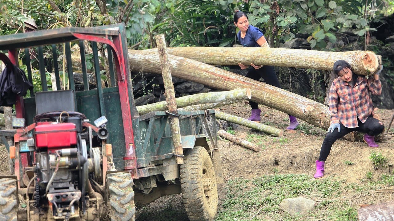 Agricultural vehicle,transporting wood the girl has amazing wood-lifting skills.#wood #farming #girl