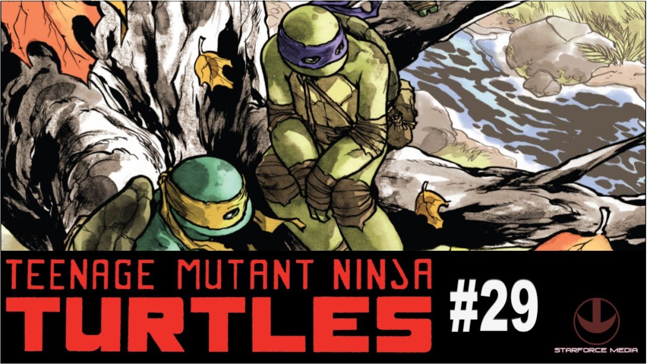 TMNT: IDW #29
