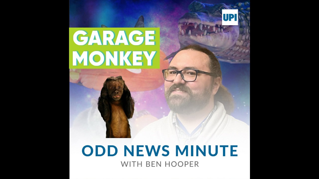 Odds and Ends: Monkey in Missouri garage, oldest pool player