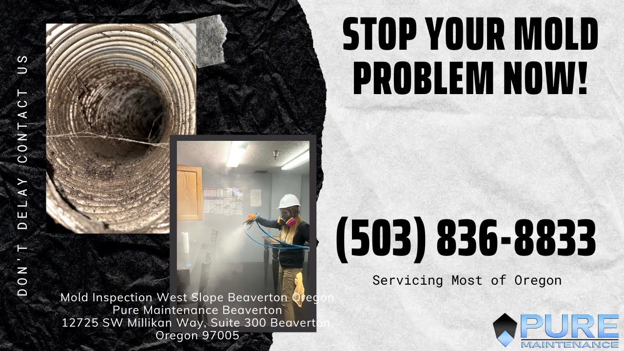 Mold Inspection West Slope Beaverton Oregon - Pure Maintenance Beaverton - 503-836-8833