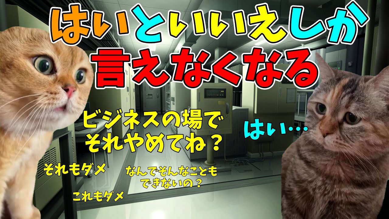 【猫ミーム】新卒で入った会社でパワハラ先輩に言論統制された話 #猫ミーム #猫マニ