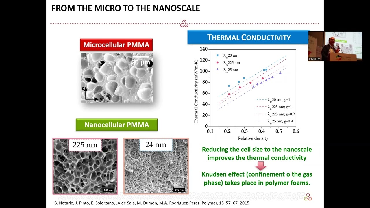From the microscale to the nanoscale in cellular materials - ESMolNa 2022