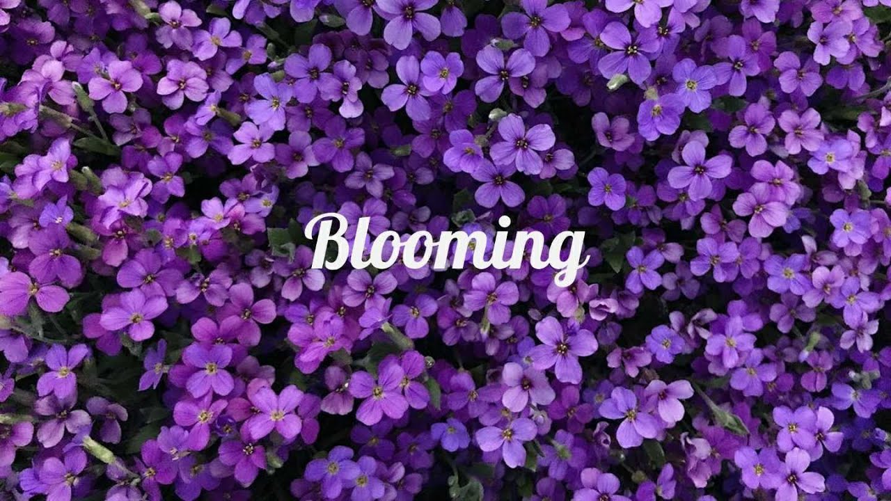 Blooming | Google DSC Solution Challenge 2021