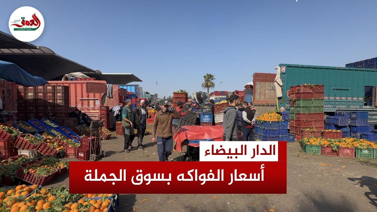 يومين قبل رمضان.. أسعار الفواكه بسوق الجملة تعرف استقرارا والمهنيون يحملون 
