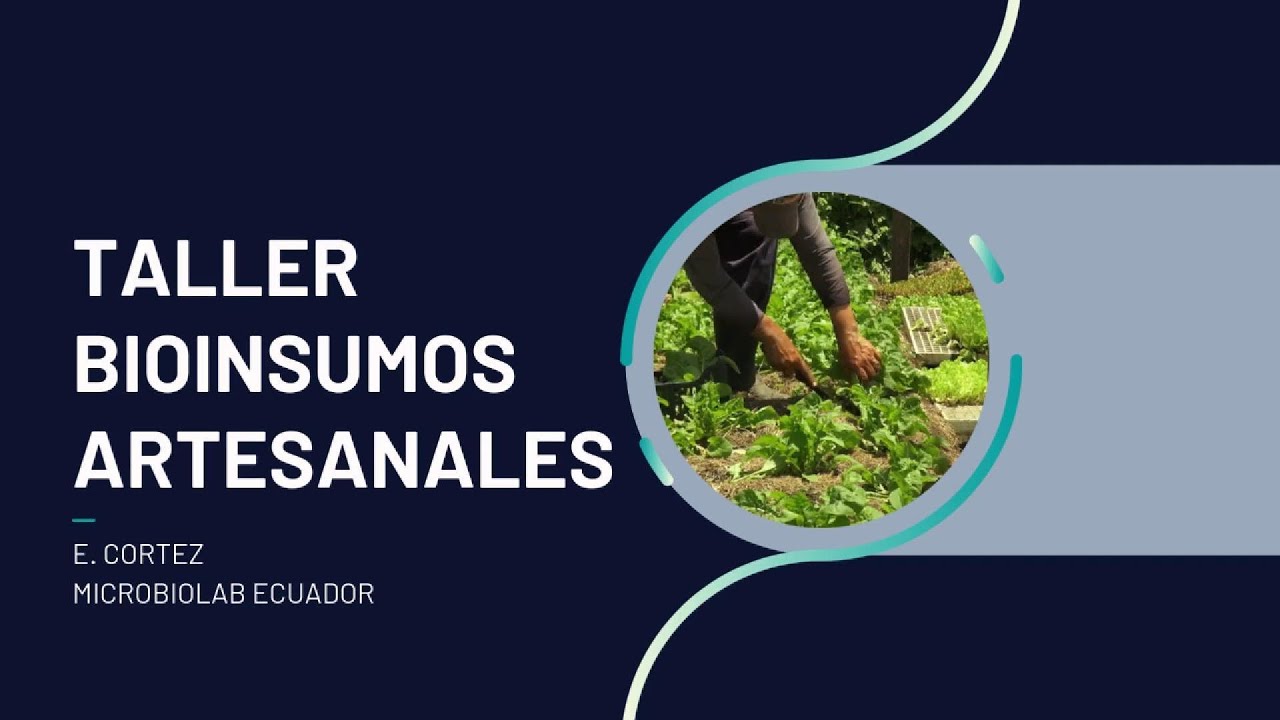 Taller Bioinsumos Artesnales Январь 2026 #microbiolab #где купить #триходерма #bioinsumos
