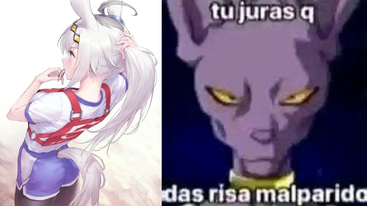 VIDEOS RANDOM ///MEMES RECOPILACIÓN ///SHITPOST ///XD