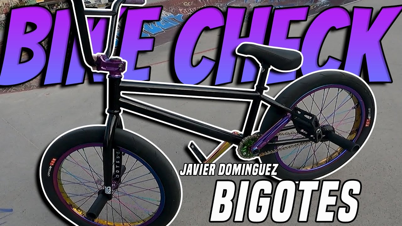 BIKE CHECK Javier Dominguez 