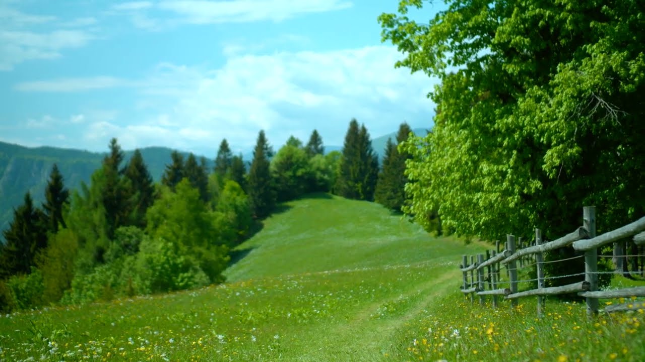 VALLEY OF EDEN - Brock Hewitt: Stories in Sound | The David Roy Collective | Matthew C. Reynolds