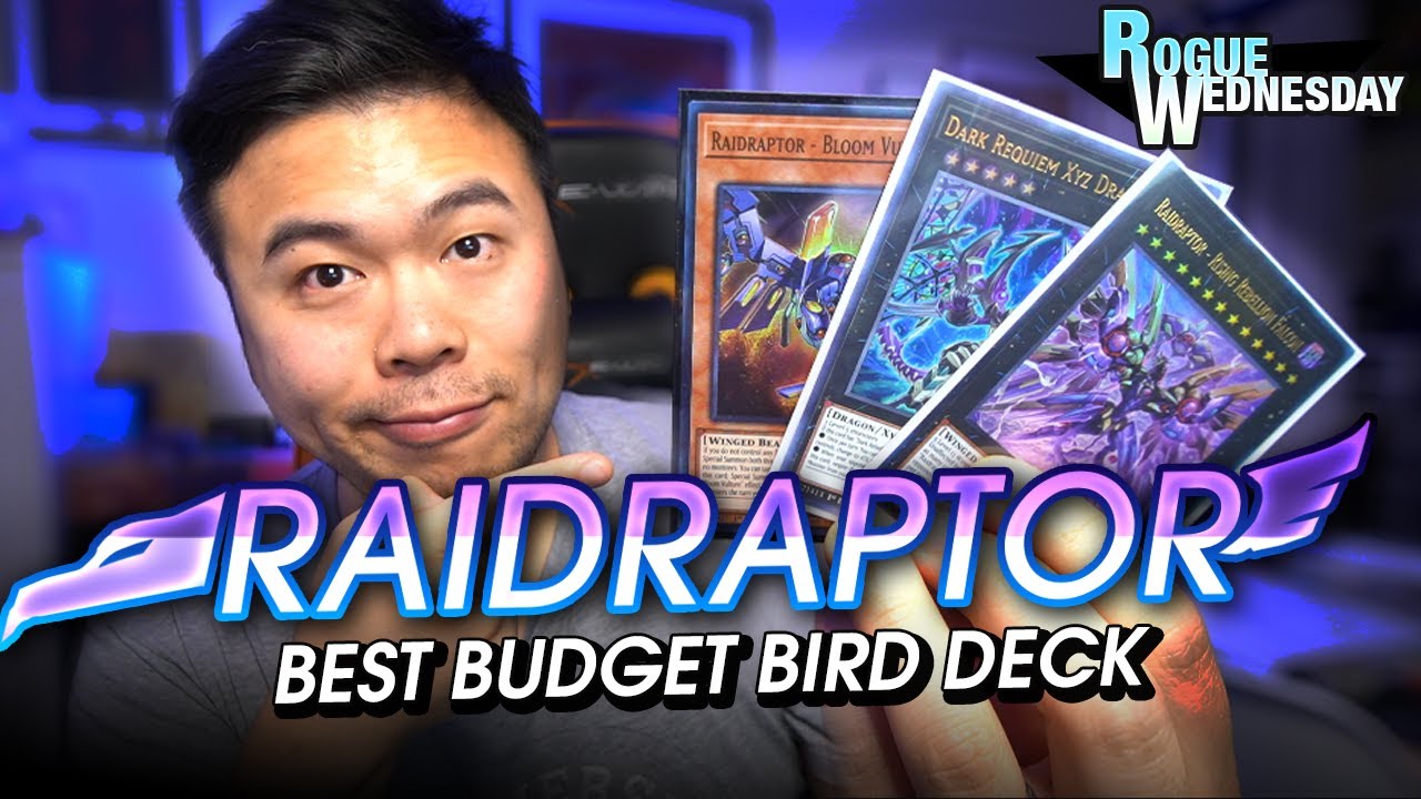RAIDRAPTORS  - How to play the Best Budget Bird Deck | Rogue Wednesday