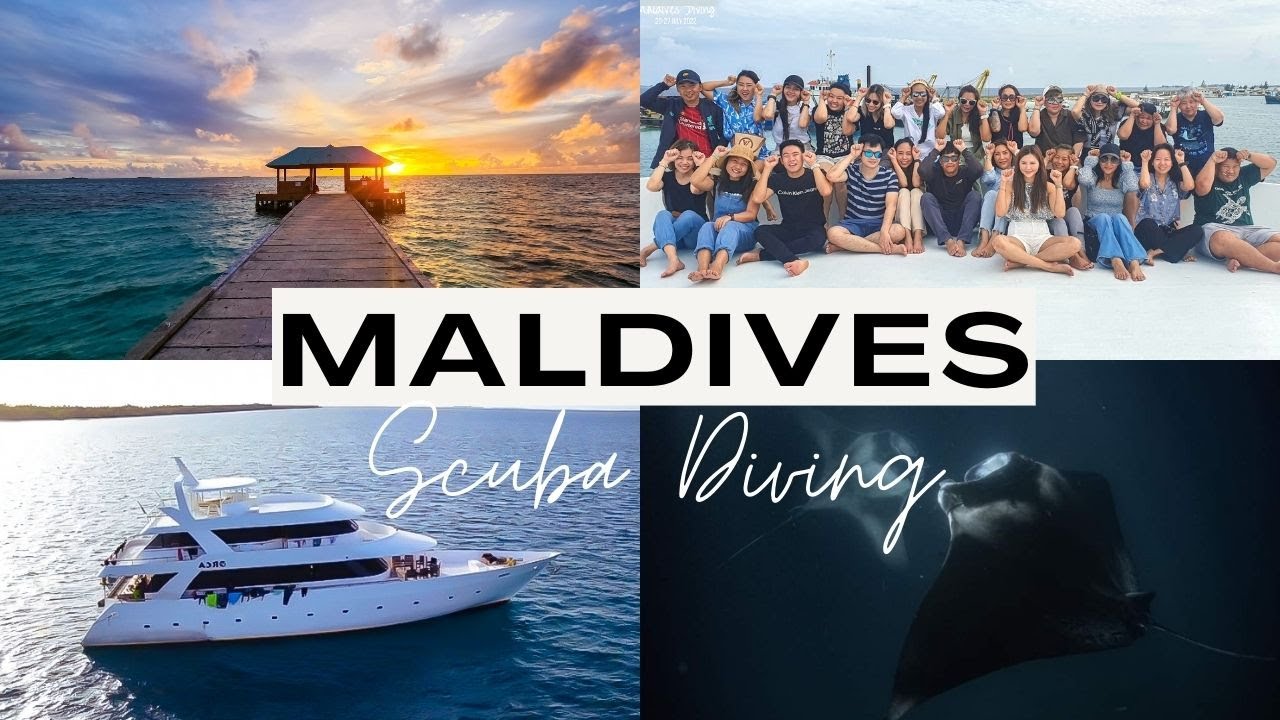Maldives Scuba Diving - The Best of the Maldives (Standard route) Liveaboard